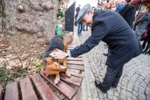 İzmir B&uuml;y&uuml;kşehir Belediyesi kısırlaştırılan sokak k&ouml;peklerinin sayısını artırmak i&ccedil;in İzmir