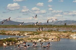 İzmir B&uuml;y&uuml;kşehir Belediye Başkanı Tun&ccedil; Soyer'in iki yıllık g&ouml;rev s&uuml;resi