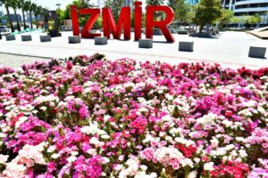 İzmir Büyükşehir Belediyesi baharı kentin dört bir yanına diktiği çiçeklerle