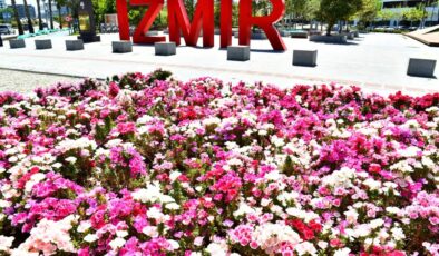 Büyükşehirden 6 milyon çiçek… İzmir çiçek açtı!