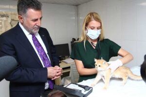 Can dostların yaşam şartlarını iyileştirmek i&ccedil;in &ccedil;alışmalar y&uuml;r&uuml;ten Bayraklı Belediyesi,