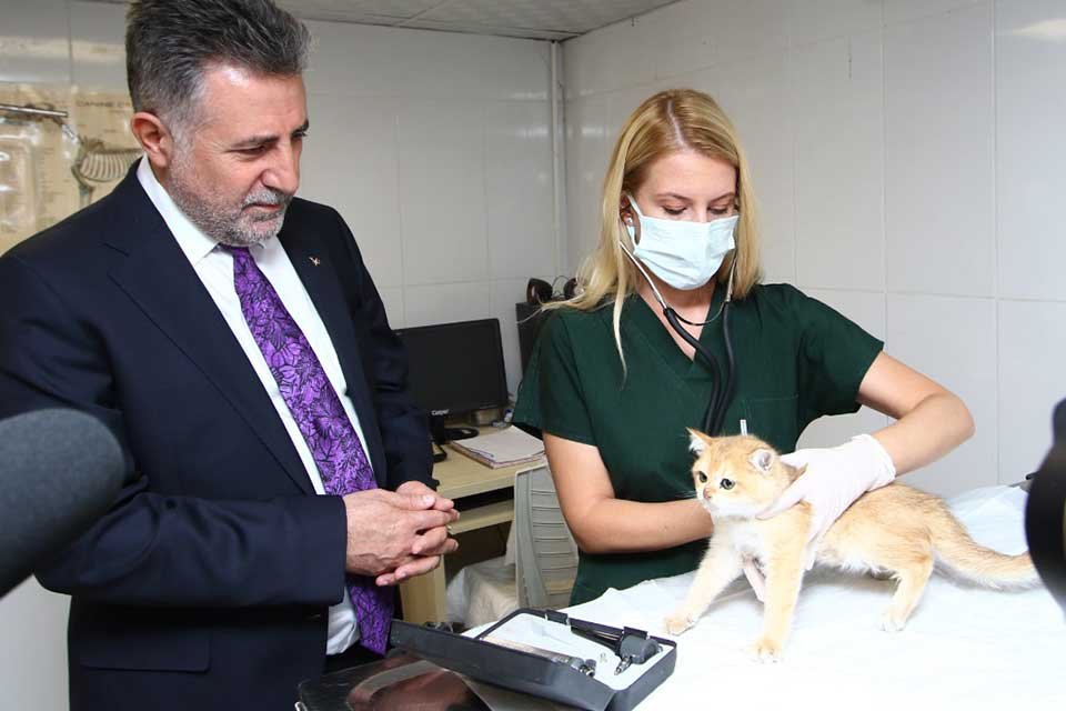 Can dostların yaşam şartlarını iyileştirmek i&ccedil;in &ccedil;alışmalar y&uuml;r&uuml;ten Bayraklı Belediyesi,