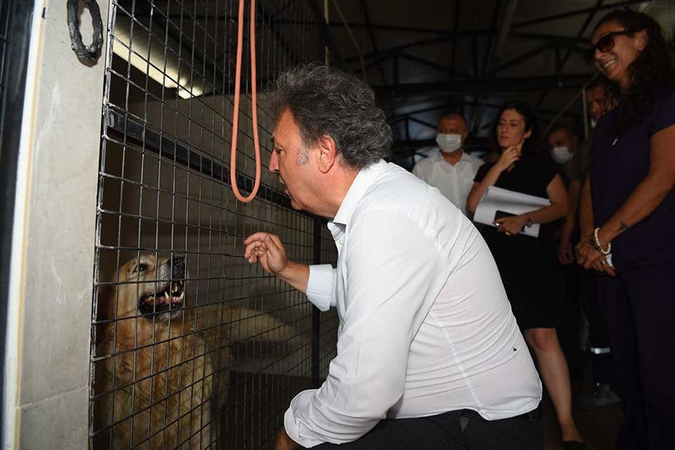 Bornova Belediyesi, Pınarbaşı&rsquo;ndaki Veteriner İşleri M&uuml;d&uuml;rl&uuml;ğ&uuml; Tedavi ve Rehabilitasyon Merkezi