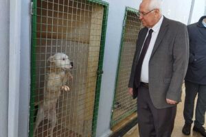 Başkan Selvitopu, sokak hayvanlarına sahip çıkmayı sürdüreceklerini vurguladı. Karabağlar Belediyesi, “hayvan