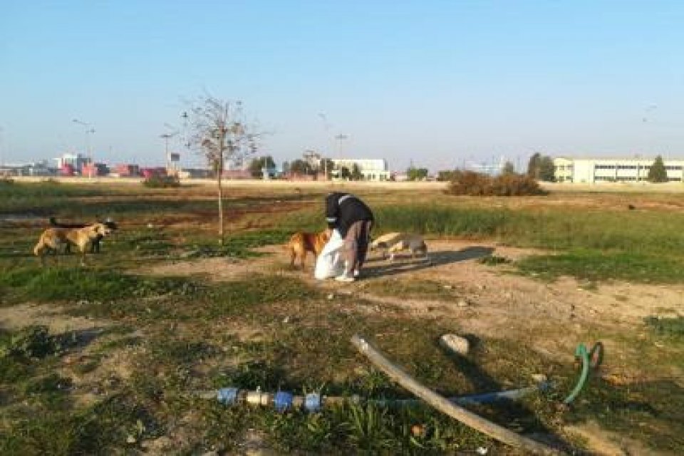 İzmir Büyükşehir Belediyesi, sokak hayvanları için tüm sene boyunca aralıksız