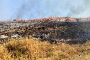 &Ccedil;anakkale'nin G&uuml;neyli k&ouml;y&uuml; yakınlarında makilikte &ccedil;ıkan yangın, yazlık evlere ve