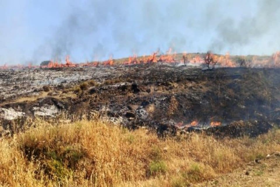 &Ccedil;anakkale'nin G&uuml;neyli k&ouml;y&uuml; yakınlarında makilikte &ccedil;ıkan yangın, yazlık evlere ve