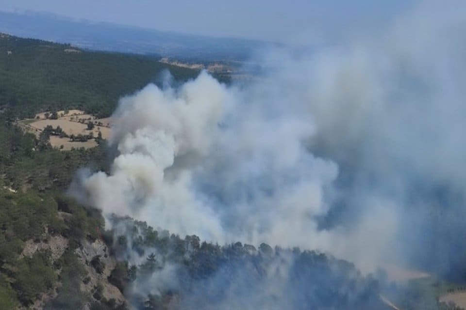 &Ccedil;anakkale&rsquo;nin Ezine il&ccedil;esine bağlı Derbentbaşı k&ouml;y&uuml; yakınlarında orman yangını &ccedil;ıktı.