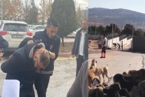 B&uuml;y&uuml;kşehir Belediyesi'ne ait Hayvan Rehabilitasyon Merkezi'nde,&nbsp;k&uuml;rekle k&ouml;peğe vurarak &ouml;ld&uuml;ren ve