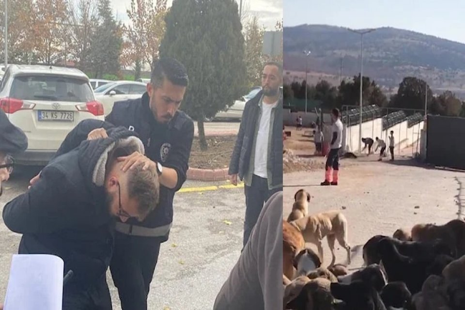 B&uuml;y&uuml;kşehir Belediyesi'ne ait Hayvan Rehabilitasyon Merkezi'nde,&nbsp;k&uuml;rekle k&ouml;peğe vurarak &ouml;ld&uuml;ren ve