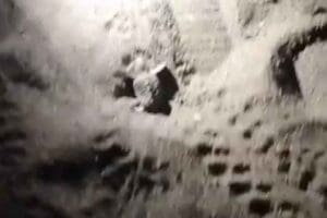 Muğla'nın Dalaman il&ccedil;esinin Kayacık Sahili'nde, caretta caretta yavrusunun yuvadan &ccedil;ıkma