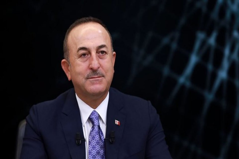 Dışişleri Bakanı Mevl&uuml;t &Ccedil;avuşoğlu, Mısır Dışişleri Bakanı Samih Şukri ile