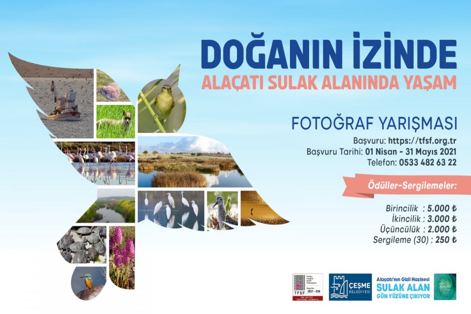 Çeşme Belediyesi tarafından “Doğanın İzinde-Alaçatı Sulak Alanında Yaşam” adlı fotoğraf