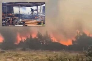 İzmir'in &Ccedil;eşme il&ccedil;esindeki otluk ve dikenlikte yangın &ccedil;ıkarken, orman ekipleri,