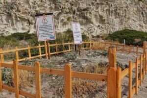 &Ccedil;eşme&rsquo;de sahili s&uuml;sleyen ve endemik bir bitki t&uuml;r&uuml; olan kum