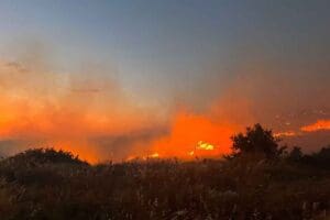 Muğla'nın Dat&ccedil;a il&ccedil;esinde &ouml;ğle saatlerinde başlayan yangın s&uuml;rerken, saat 13.30