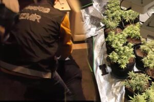 İzmir’in Çeşme ilçesinde, yılbaşı öncesi uyuşturucu satışının önlenmesine yönelik polisin