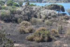 İzmir'in il&ccedil;esinde, d&uuml;n gece &ccedil;ıkan yangın 3 saatte s&ouml;nd&uuml;r&uuml;l&uuml;rken, i&ccedil;inde