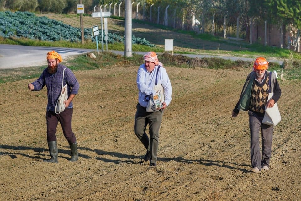 Yerli tohumlara sahip &ccedil;ıkarak, Karakıl&ccedil;ık Buğdayı, Sakız ve Anason&rsquo;un ardından