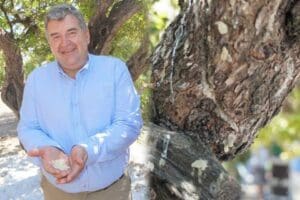 &nbsp;&Ccedil;eşme&rsquo;de sakız &uuml;retimin arttırılması amacıyla hazırlanan &lsquo;&Ccedil;eşme&rsquo;den Sakız Damlıyor&rsquo; projesi