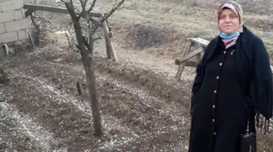 Iğdır'da etkili olan yağış sırasında ceviz ağacının altında otururken &uuml;zerine