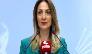 CHP Kadın Kolları Başkanı Nazlıaka korona oldu