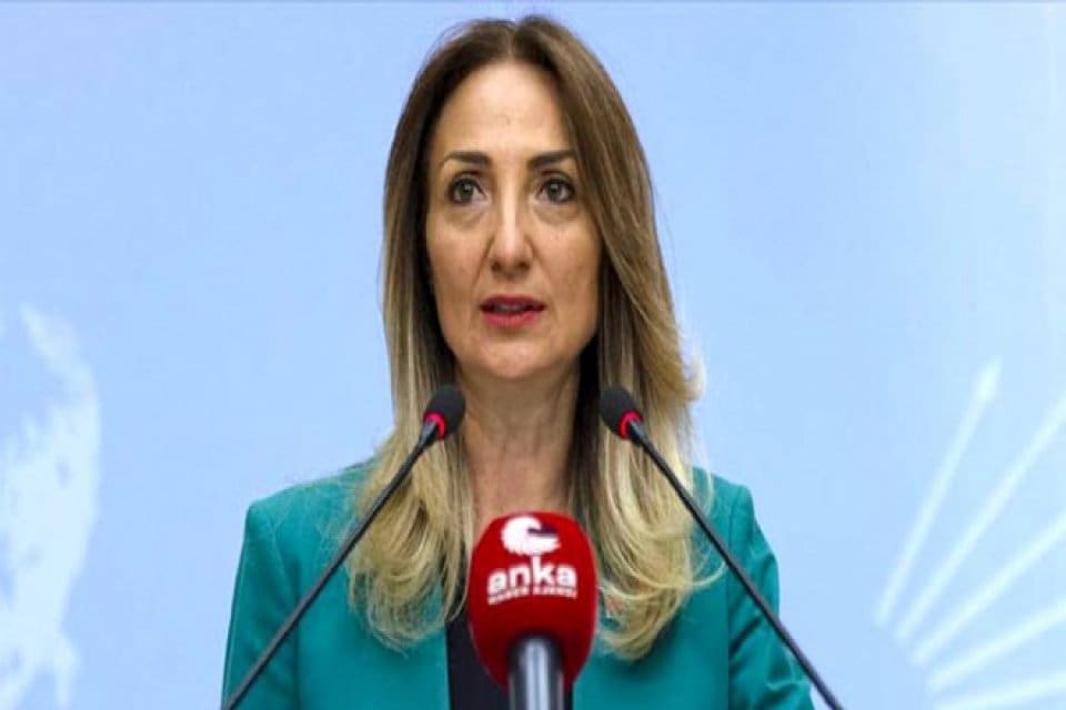 CHP Parti Meclisi &Uuml;yesi ve CHP Kadın Kolları Genel Başkanı