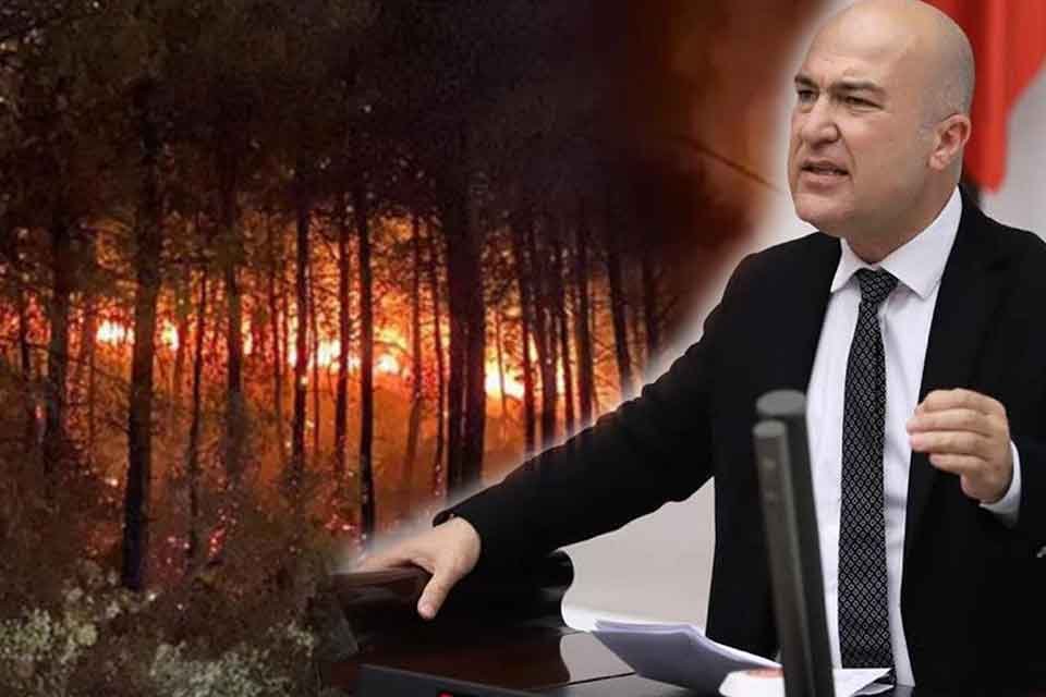 Cumhuriyet Halk Partisi (CHP) İzmir Milletvekili ve TBMM &Ccedil;evre Komisyonu