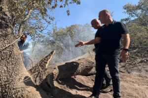   Yangın sezonu olarak kabul edilen 1 Mayıs – 1