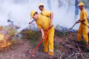 Kamuda geçici iş pozisyonunda çalışanların sürekli işçi kadrosuna ve sözleşmeli