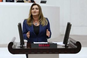 CHP İzmir Milletvekili ve TBMM İnsan Haklarını İnceleme Komisyonu &Uuml;yesi