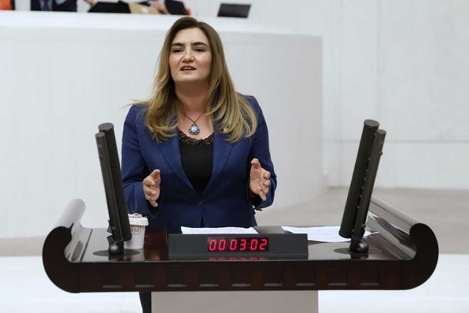 CHP İzmir Milletvekili ve TBMM İnsan Haklarını İnceleme Komisyonu &Uuml;yesi