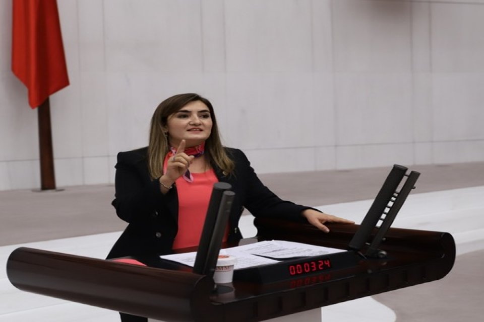 CHP İzmir Milletvekili ve TBMM İnsan Haklarını İnceleme Komisyonu Üyesi