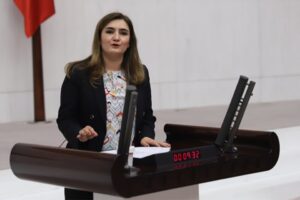 CHP İzmir Milletvekili ve TBMM İnsan Haklarını İnceleme Komisyonu Üyesi