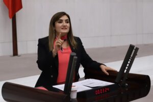 CHP İzmir Milletvekili ve TBMM İnsan Haklarını İnceleme Komisyonu Üyesi