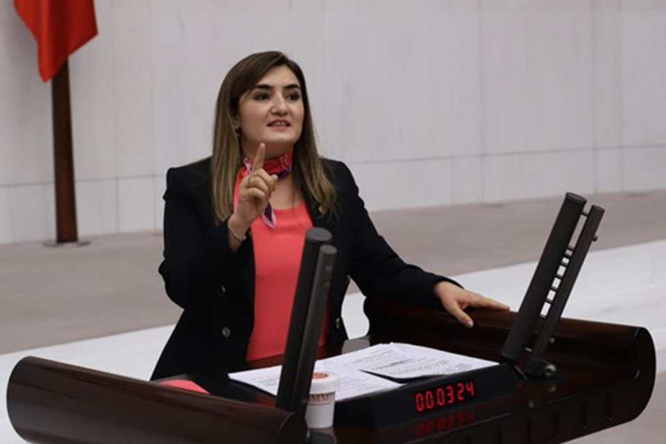 CHP İzmir Milletvekili ve TBMM İnsan Haklarını İnceleme Komisyonu Üyesi