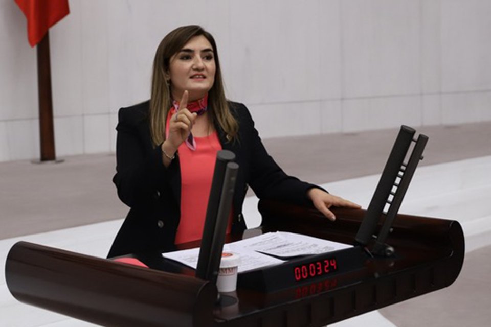 CHP İzmir Milletvekili ve TBMM İnsan Haklarını İnceleme Komisyonu &Uuml;yesi