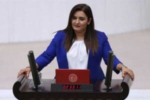 CHP İzmir Milletvekili ve TBMM İnsan Haklarını İnceleme Komisyonu &Uuml;yesi