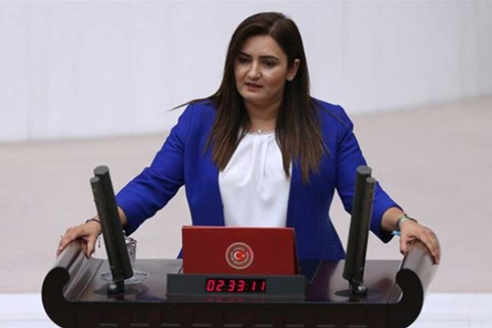 CHP İzmir Milletvekili ve TBMM İnsan Haklarını İnceleme Komisyonu &Uuml;yesi