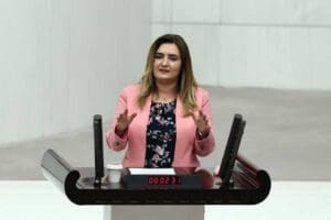 CHP İzmir Milletvekili ve TBMM İnsan Haklarını İnceleme Komisyonu &Uuml;yesi