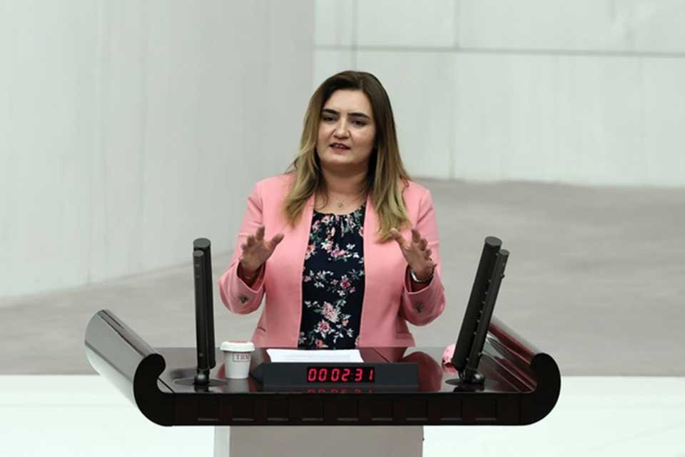 CHP İzmir Milletvekili ve TBMM İnsan Haklarını İnceleme Komisyonu &Uuml;yesi