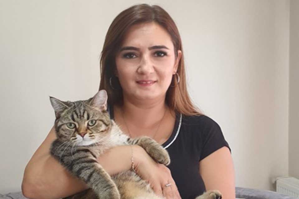 Kedi ve k&ouml;pekler başta olmak &uuml;zere evcil hayvanlarda&nbsp;birden fazla hastalığın