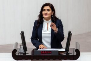 CHP İzmir Milletvekili ve TBMM İnsan Haklarını İnceleme Komisyonu Üyesi