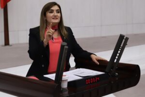 CHP İzmir Milletvekili ve TBMM İnsan Haklarını İnceleme Komisyonu Üyesi