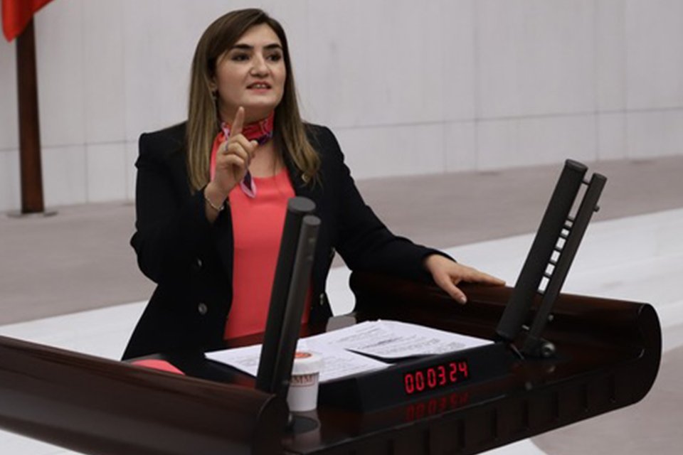 CHP İzmir Milletvekili ve TBMM İnsan Haklarını İnceleme Komisyonu &Uuml;yesi