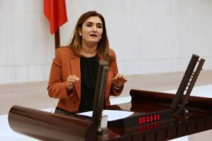 CHP İzmir Milletvekili ve TBMM İnsan Haklarını İnceleme Komisyonu &Uuml;yesi