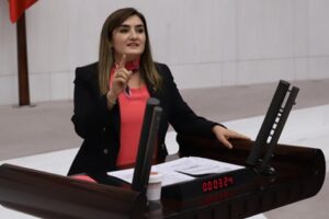 CHP İzmir Milletvekili ve TBMM İnsan Haklarını İnceleme Komisyonu Üyesi