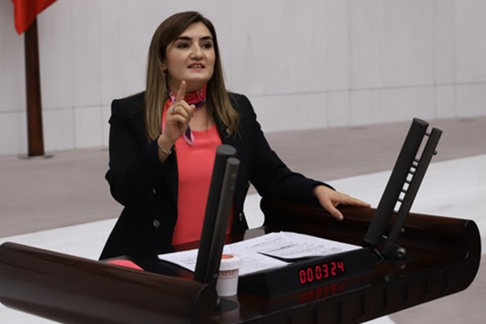CHP İzmir Milletvekili ve TBMM İnsan Haklarını İnceleme Komisyonu Üyesi