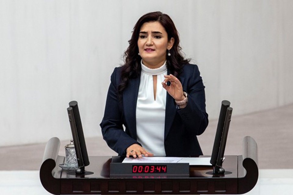 CHP İzmir Milletvekili ve TBMM İnsan Haklarını İnceleme Komisyonu Üyesi