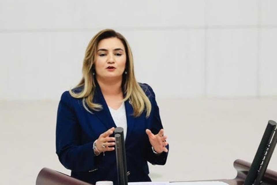 TBMM Başkanlık Divanı Katip &Uuml;yesi ve CHP İzmir Milletvekili Av.